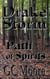 Drake Storm Path of Spirits - Drake Storm, #1
