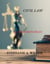 Civil Law: A Television Pilot
