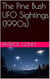 The Pine Bush UFO Sightings (1990s)