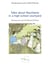 Talks about Mauritania in a high-school courtyard - Drawnings and scenes by Mohamed El Hacen