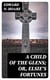 A Child of the Glens; or, Elsie's Fortunes