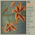 Blumenfantasie