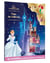 Disney Princesses : Dans les châteaux de Princesses : Livre silhouetté avec stickers