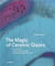 The magic of ceramic glaze /anglais