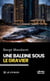 Une baleine sous le gravier