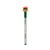 Stylo effaçable Mr Wonderful - BOBO Amalfi - Teckel : I walk, you follow - Bleu - Pointe moyenne