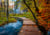 Puzzle 1000 pièces - Chemins de rêve - Chemin bosé d'automne - Ravensburger