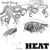 Heat