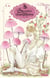 La sorcière aux champignons Tome 7