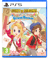 Story of Seasons : Grand Bazaar