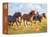 Chevaux - Agenda - Calendrier - Semainier 2027