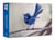 Oiseaux du monde - Agenda - Calendrier - Semainier 2027