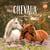 Calendrier mural : Chevaux (édition 2027)