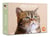 Drôles de chats - Agenda - Calendrier - Semainier 2027