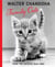 Family Cats : From the archive 1949-1962