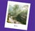 Encens Tierra Zen - Fragrance Memories Bali Rain