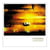 Future Songs / Edition Limitee Couleur Jaune Marbre