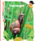 Mes docs nature : L'escargot