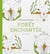 Livre de coloriage foret enchantee