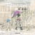 La mélodie de la pluie