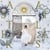 Aster. Atlas