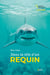 Dans la tête d'un requin