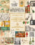 Une histoire de la gastronomie et du vin - bibliotheque chateau haut-brion - illustrations, couleur