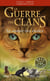 La guerre des clans - Cycle V : L'aube des clans - Tome 6 Le sentier des étoiles -poche-