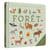 Bébé découvre - forêt