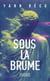 Sous la brume