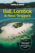 Bali, Lombok & Nusa Tenggara 20ed -anglais-