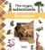 Mon imagier autocollants : La Savane