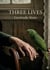 Three Lives : by Gertrude Stein
