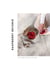 Raspberry Reverie : a journey through scarlet flavours, by anysia.