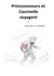 Princessenours et Coccinelle voyagent