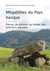 Mégalithes du Pays basque : Pierres de pouvoir au temps des premiers paysans