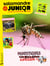 La salamandre junior n.166 : Juin 2026