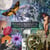 Things We Did On Earth