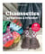 Chaussettes créatives à tricoter