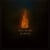 The Arsonist