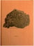 Arturo hernandez alcazar escombro /anglais