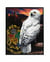 Kit diamond painting Diamond Dotz - Dotz Box - Harry Potter Hedwig