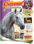 Album Panini - Chevaux