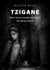 Tzigane : Récit d'une enquête judiciaire de Walter BAUD