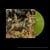 Like A Plague Upon The Land - édition limitée colorée - Vinyle