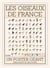 Les oiseaux de France : Un poster géant informatif et décoratif