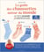 Devenir expert : le guide des chaussettes autour du monde - au tricot jacquard