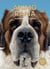 Animo rama : Surprenants chiens