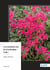 Le bougainvillier de Houinlindah Tome 1
