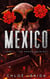 Mexico : Un amour criminel